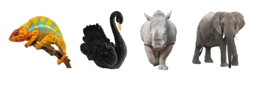 Tiere der Veränderung